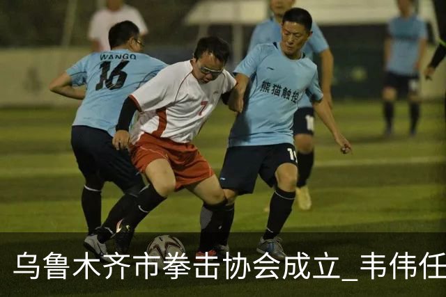 乌鲁木齐市拳击协会成立 韦伟任会长